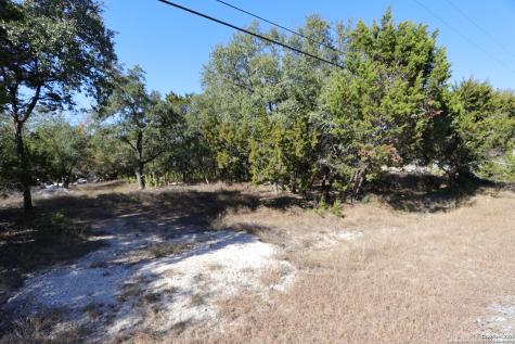 1433 Chestnut Springs Bulverde TX 78163
