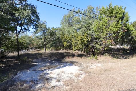 1433 Chestnut Springs Bulverde TX 78163