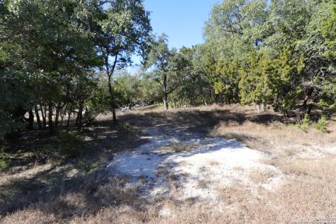 1433 Chestnut Springs Bulverde TX 78163