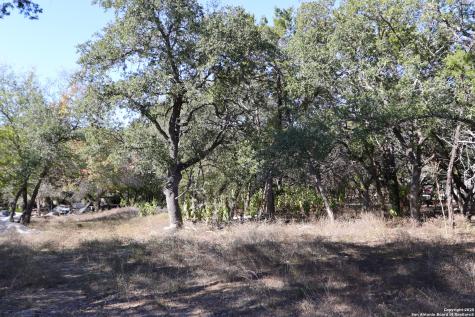 1433 Chestnut Springs Bulverde TX 78163
