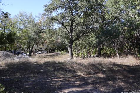 1433 Chestnut Springs Bulverde TX 78163