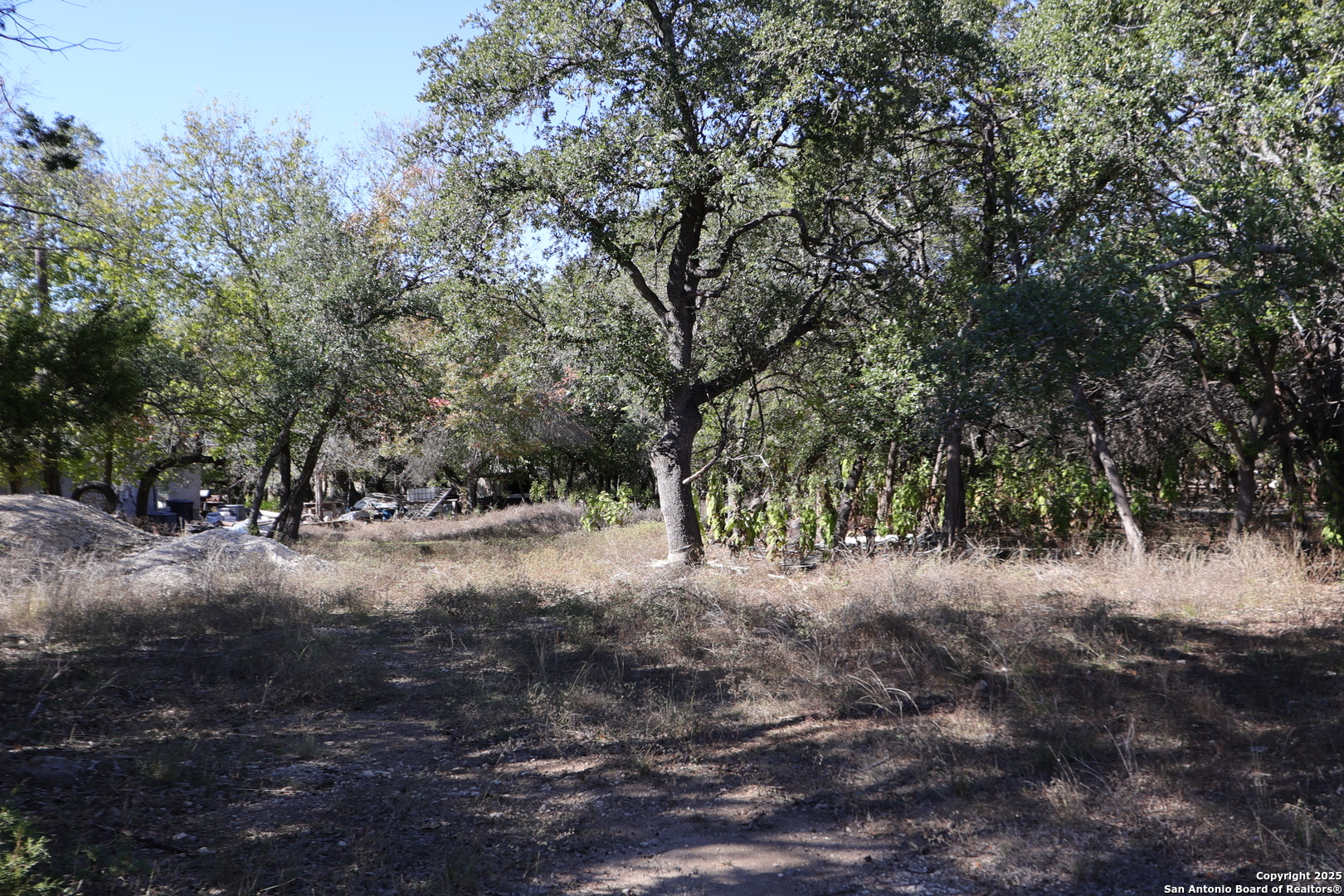 1433 Chestnut Springs Bulverde TX 78163