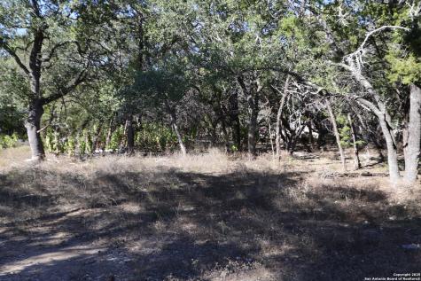 1433 Chestnut Springs Bulverde TX 78163