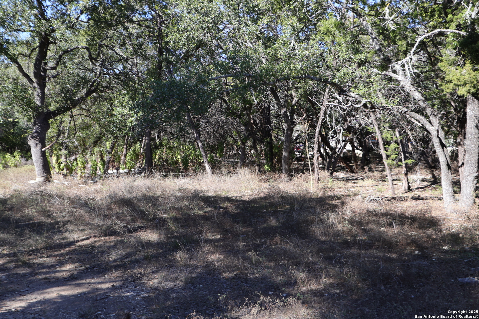 1433 Chestnut Springs Bulverde TX 78163