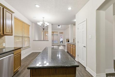 13202 Palatine Hill San Antonio TX 78253