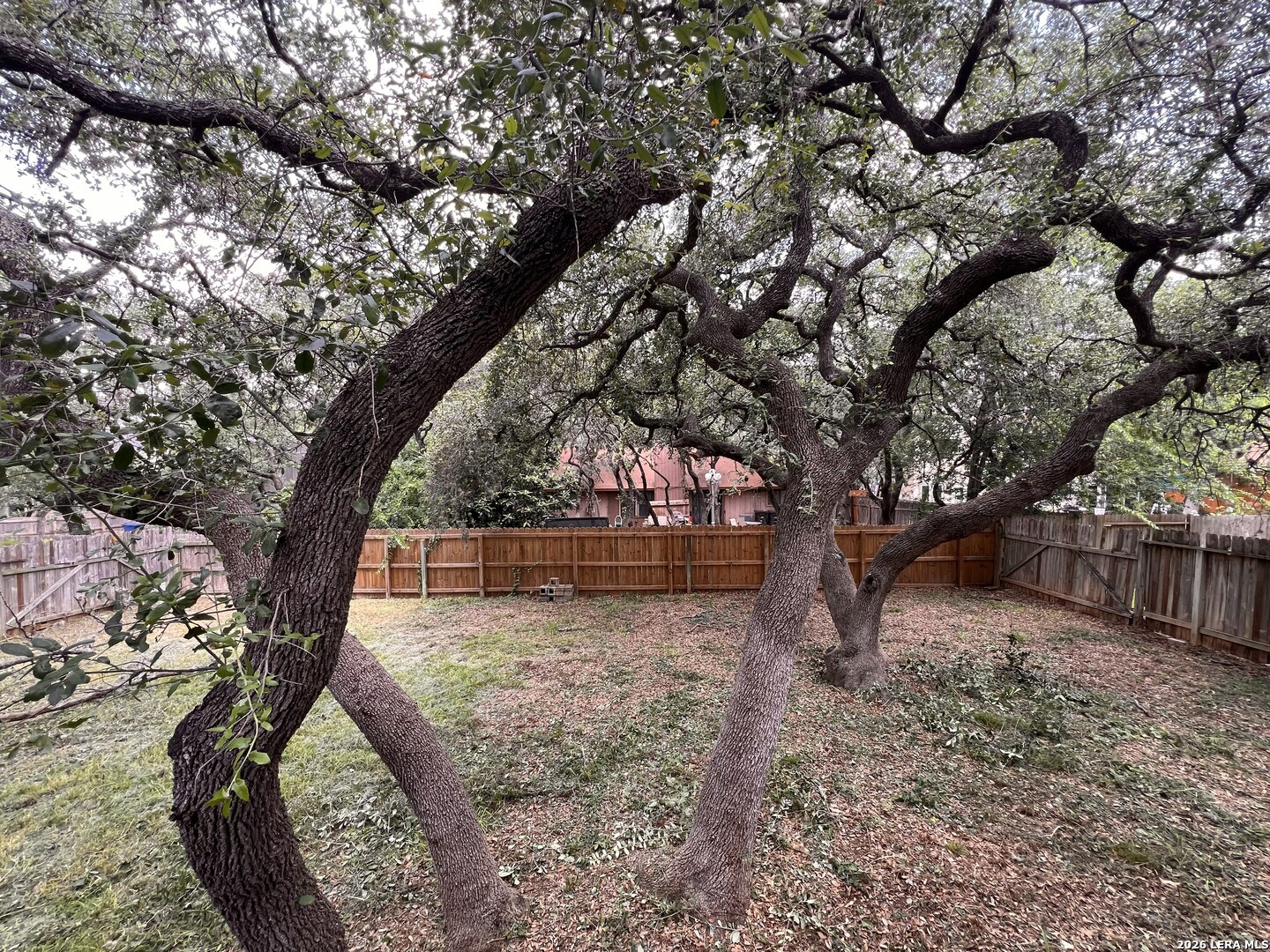 9343 Lamerton Street San Antonio TX 78250