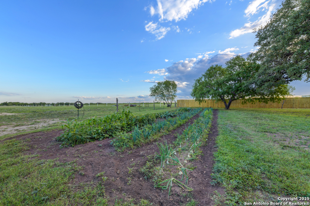 Tbd Miller St Hedwig TX 78152