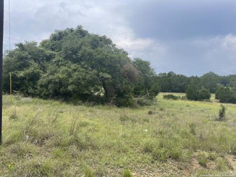114 George Dolson Blanco TX 78606