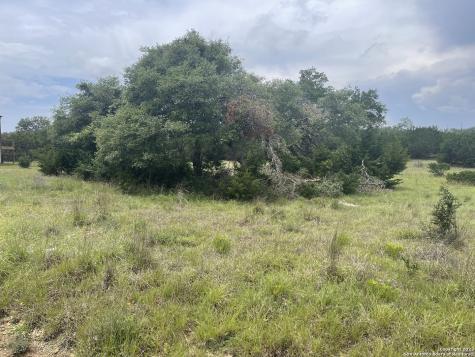 114 George Dolson Blanco TX 78606