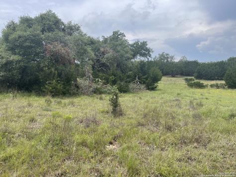 114 George Dolson Blanco TX 78606