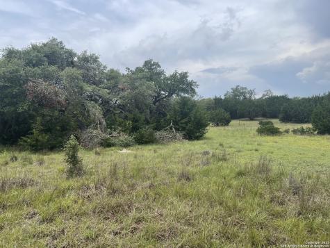 114 George Dolson Blanco TX 78606