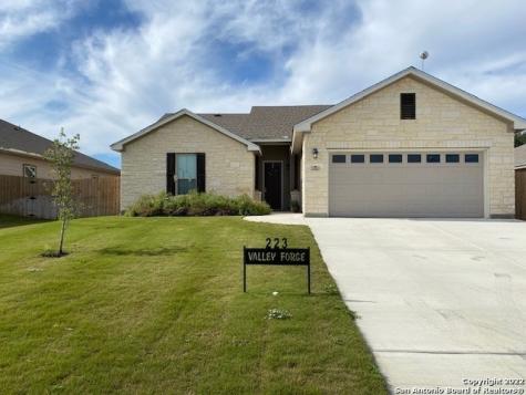 223 Valley Forge Pleasanton TX 78064