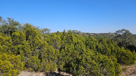 21431 Scenic Loop Road Helotes TX 78023