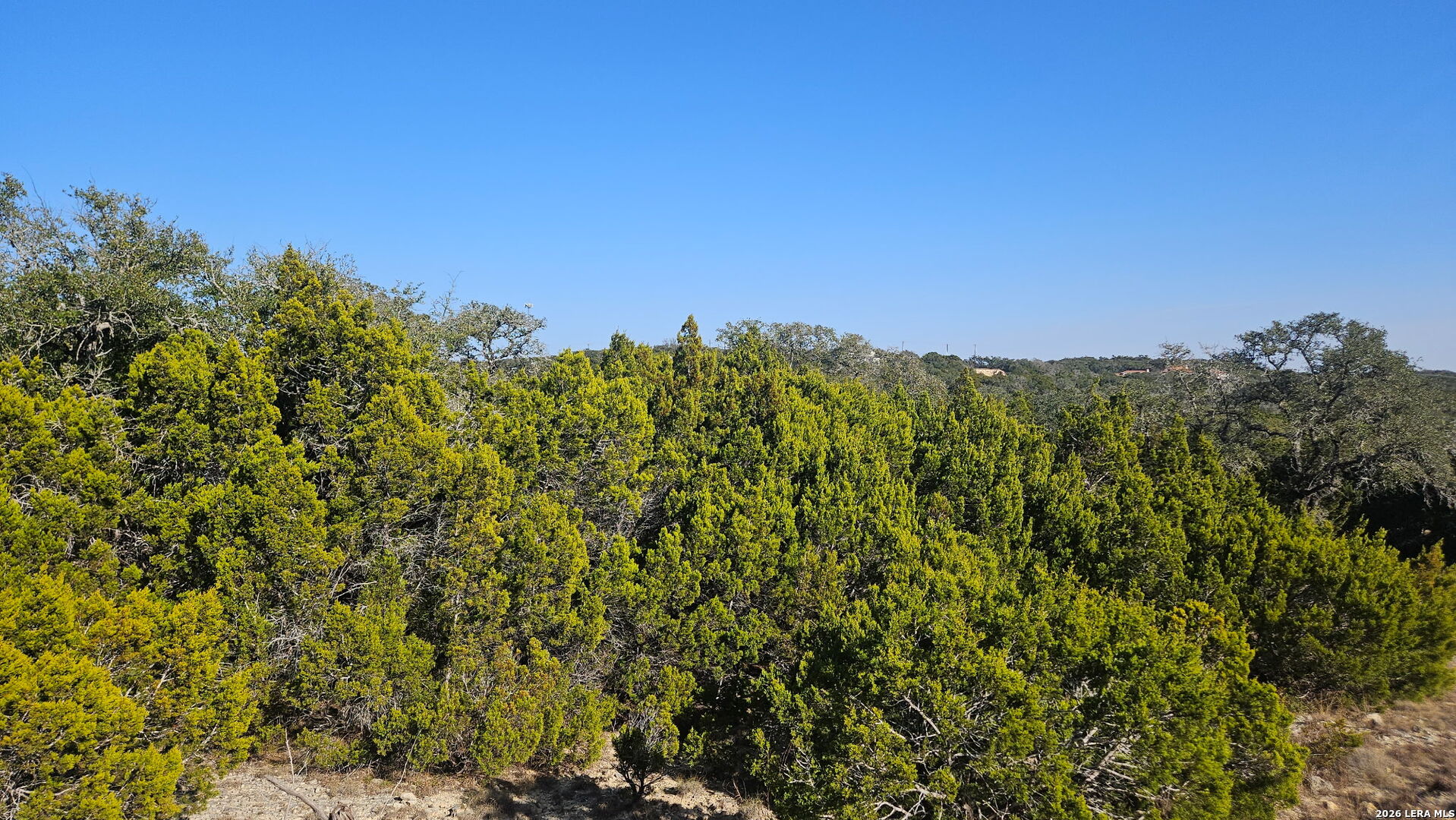 21431 Scenic Loop Road San Antonio TX 78255
