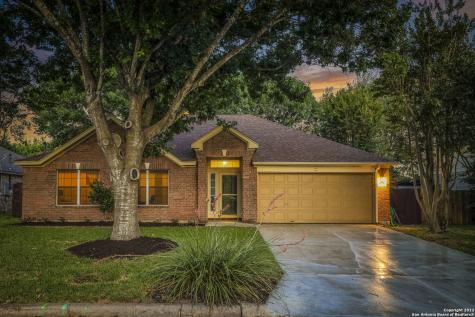 1138 Rivertree Drive New Braunfels TX 78130