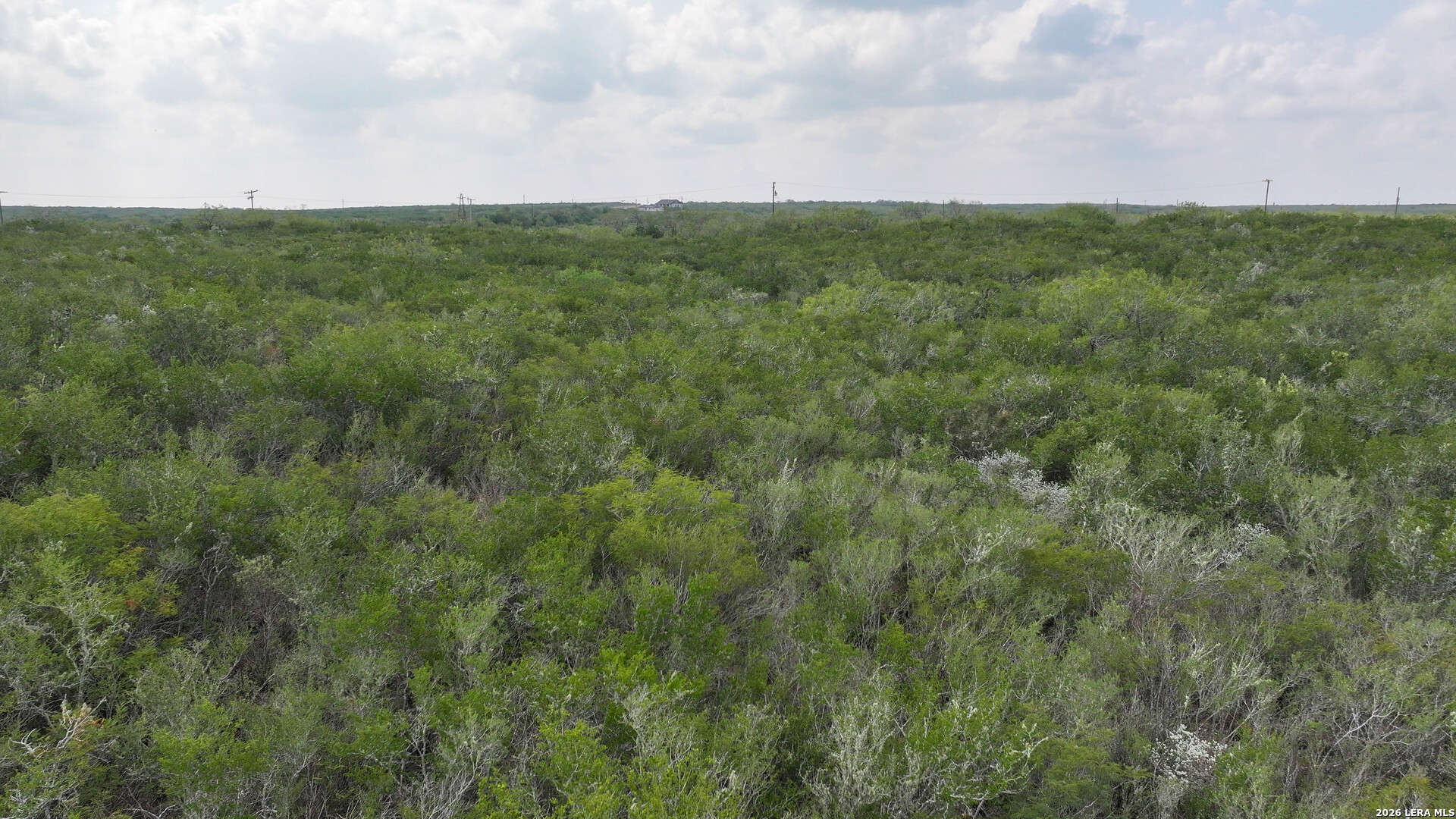 001 Highway 16 Freer TX 78357
