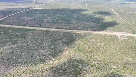 001 Highway 16 Freer TX 78357