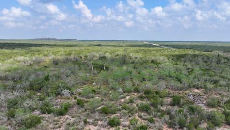 001 Highway 16 Freer TX 78357