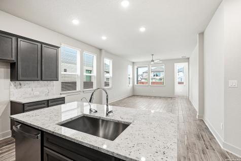 12410 Cotorra Springs San Antonio TX 78254
