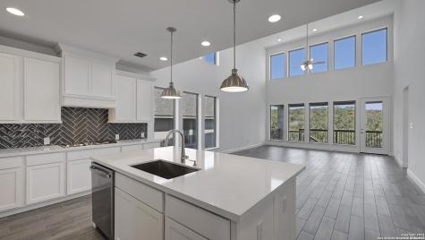 24110 Sidehill Lie San Antonio TX 78261