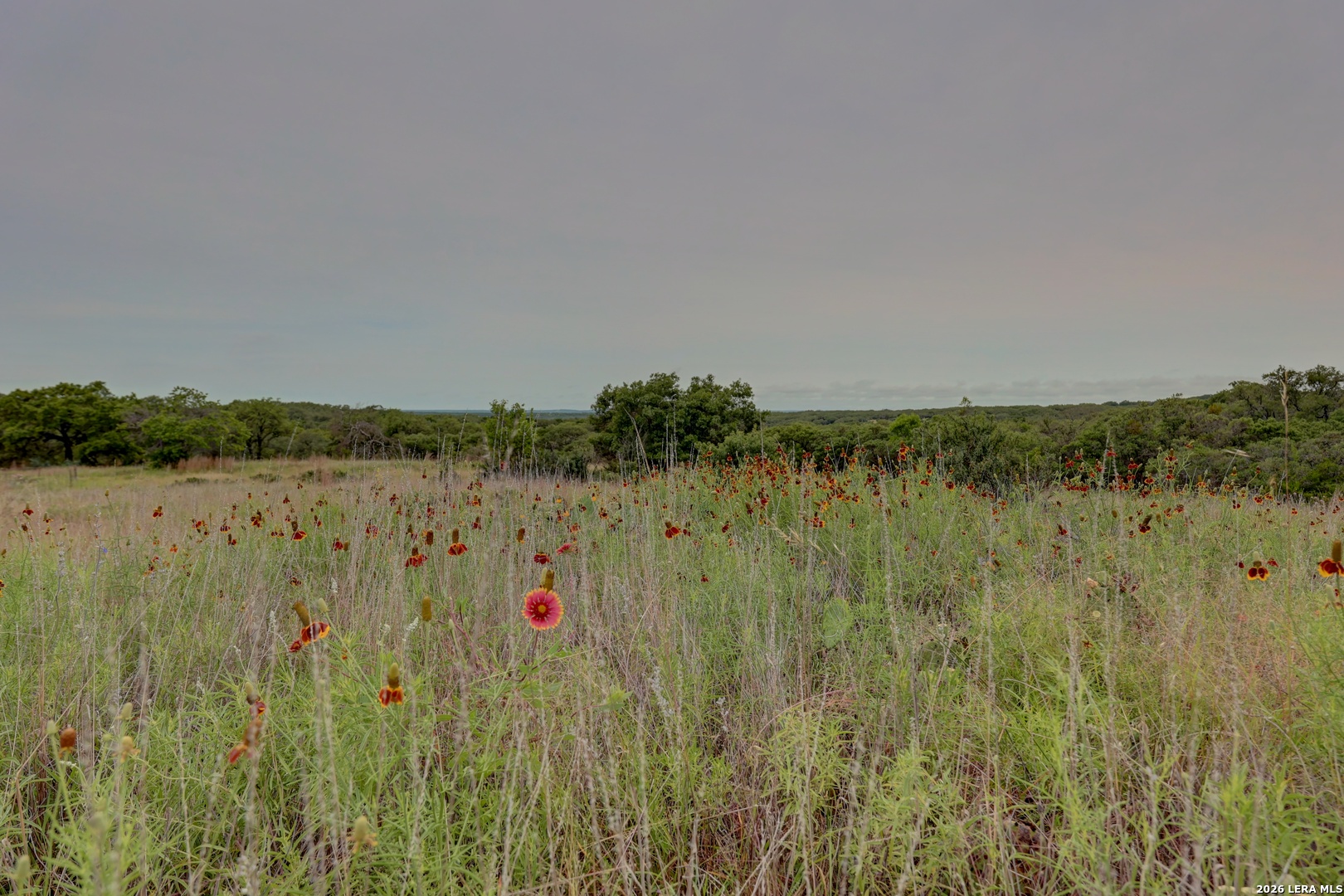 8177 Wendel Road Harper TX 78631