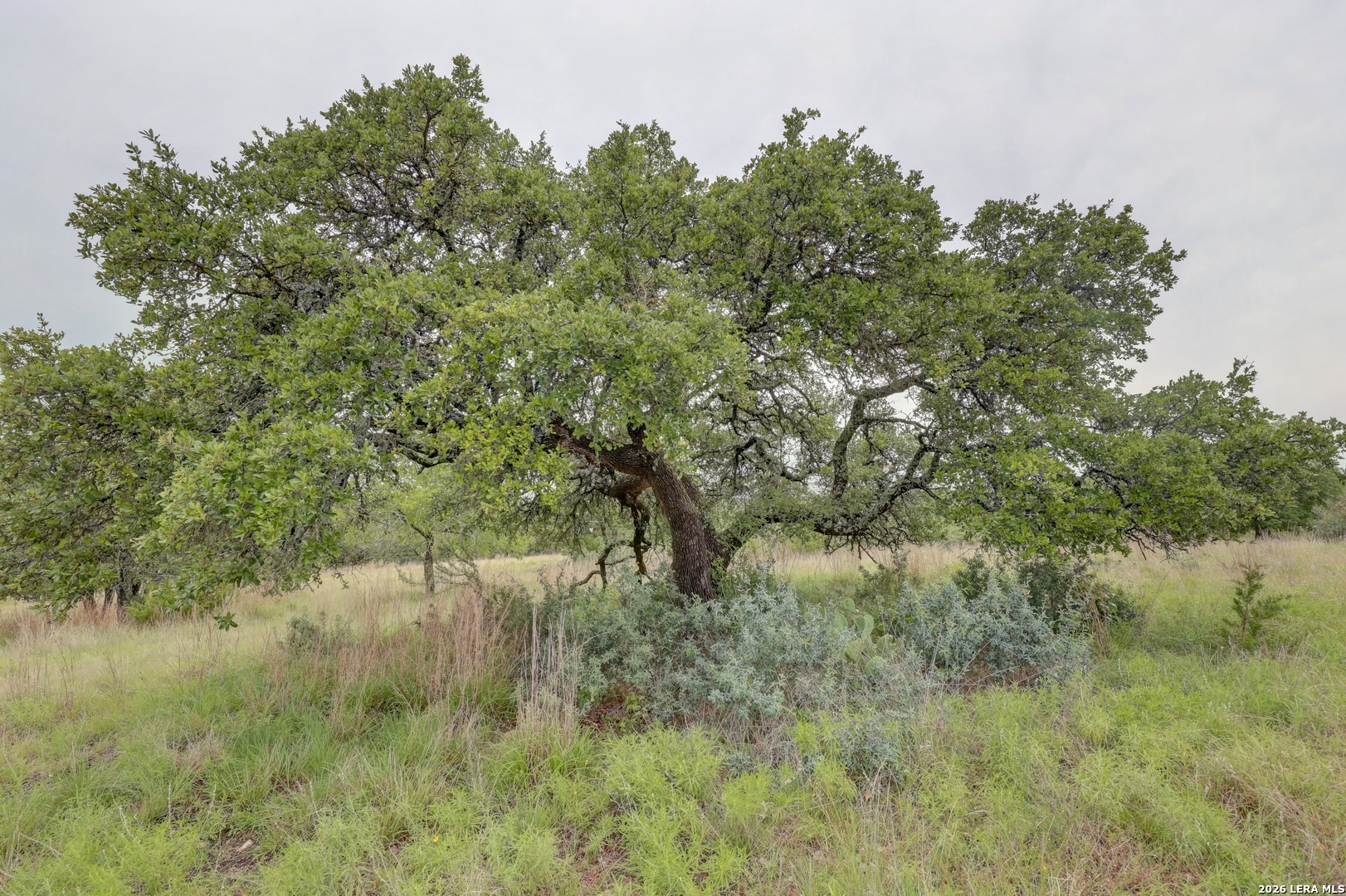 8177 Wendel Road Harper TX 78631