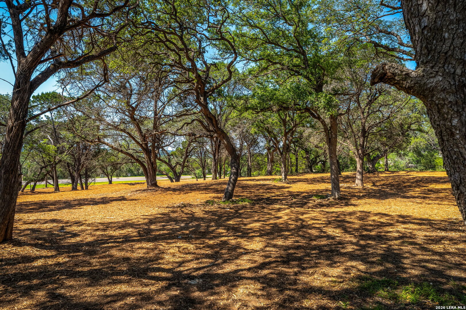 127 Kings Way New Braunfels TX 78132