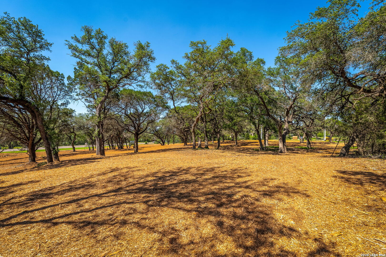 127 Kings Way New Braunfels TX 78132