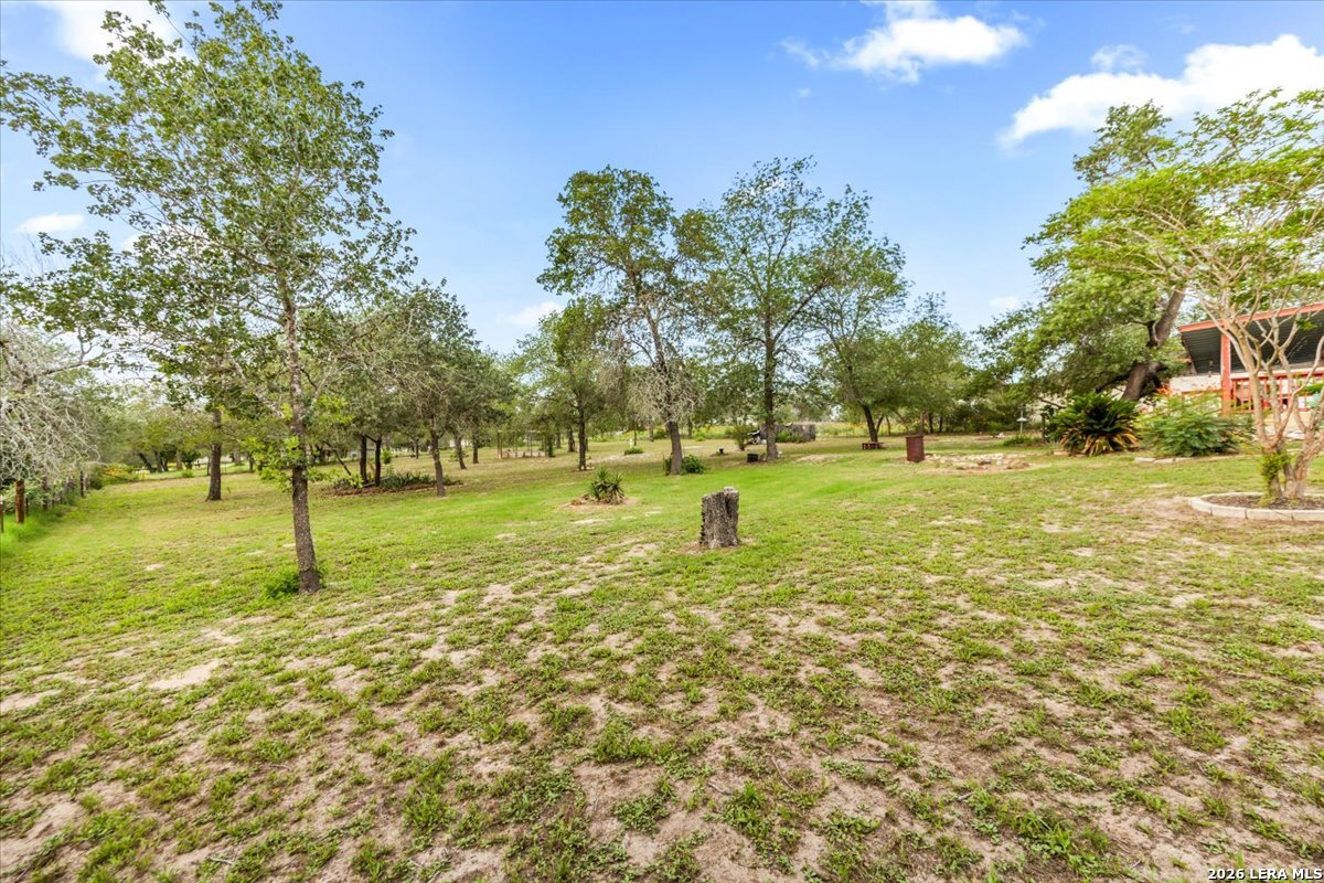 95 Nine Patch Poteet TX 78065