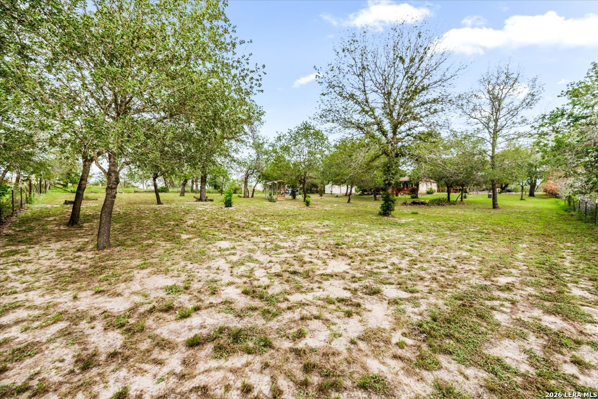 95 Nine Patch Poteet TX 78065