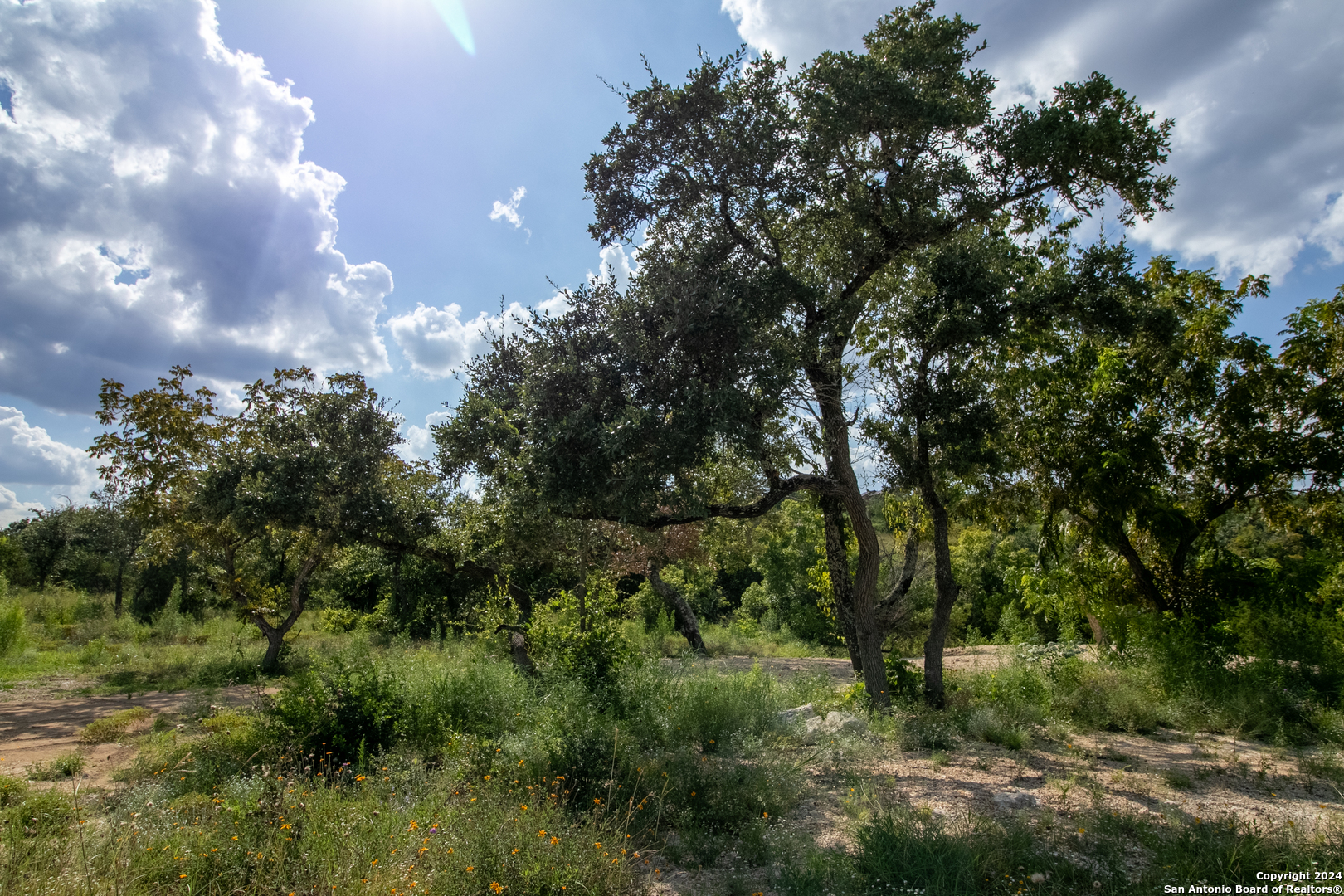 Lot 6 Messina Canyon San Antonio TX 78255