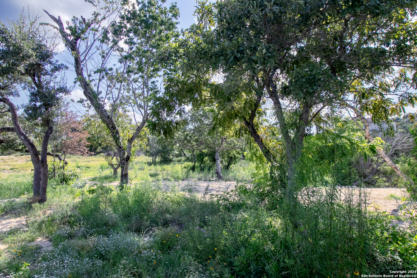 Lot 6 Messina Canyon San Antonio TX 78255