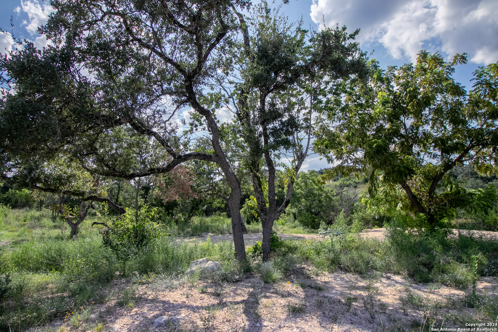 Lot 6 Messina Canyon San Antonio TX 78255