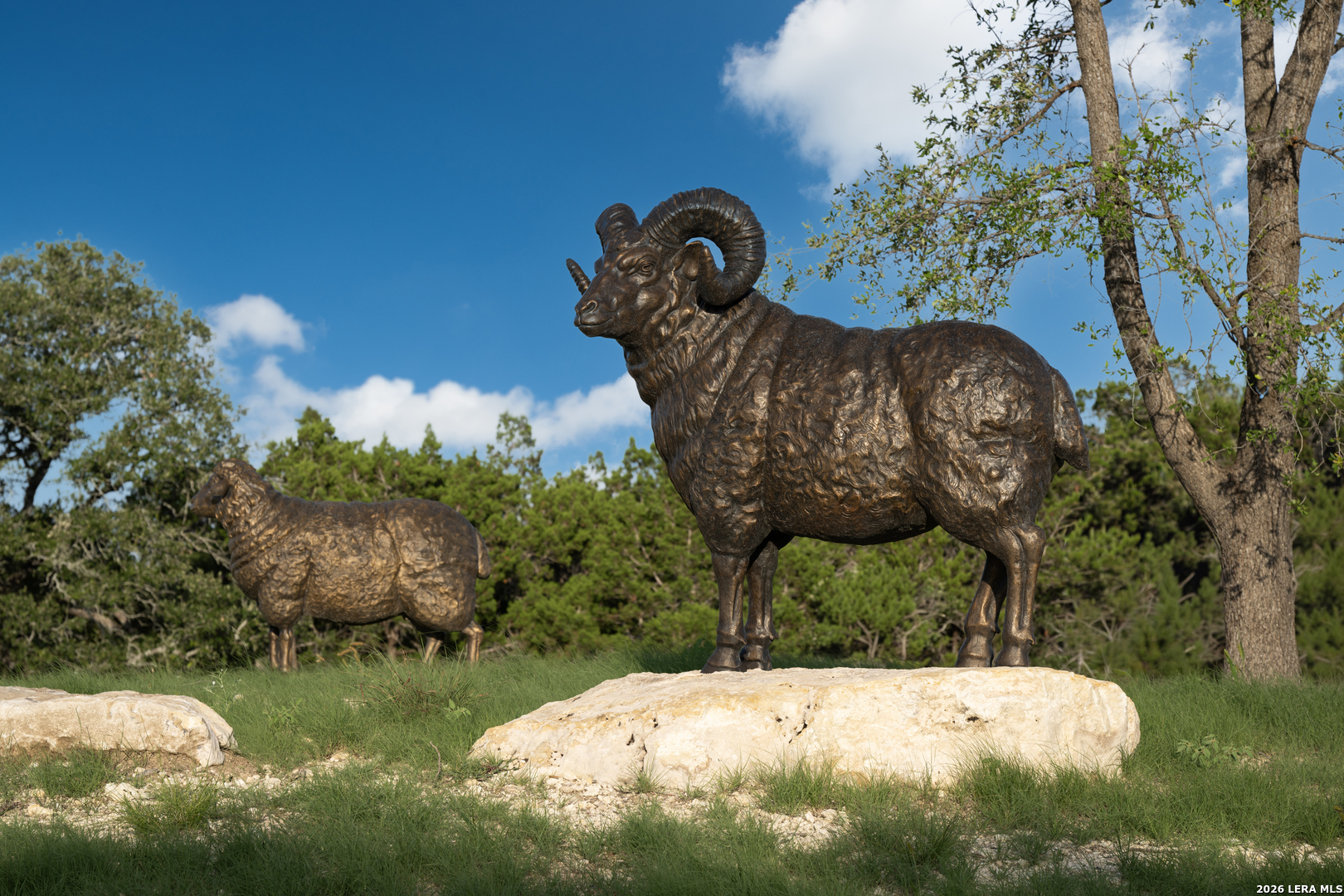 302 Laughing Dog Boerne TX 78006
