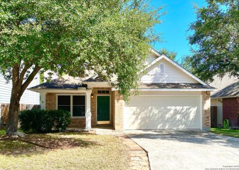 20606 Tree Meadow San Antonio TX 78258
