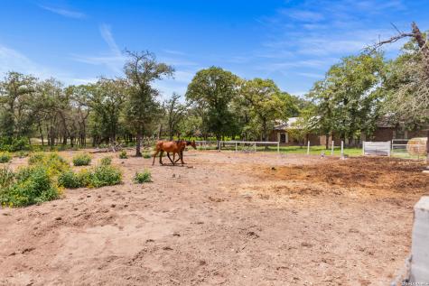 1882 Deer Trail Floresville TX 78114