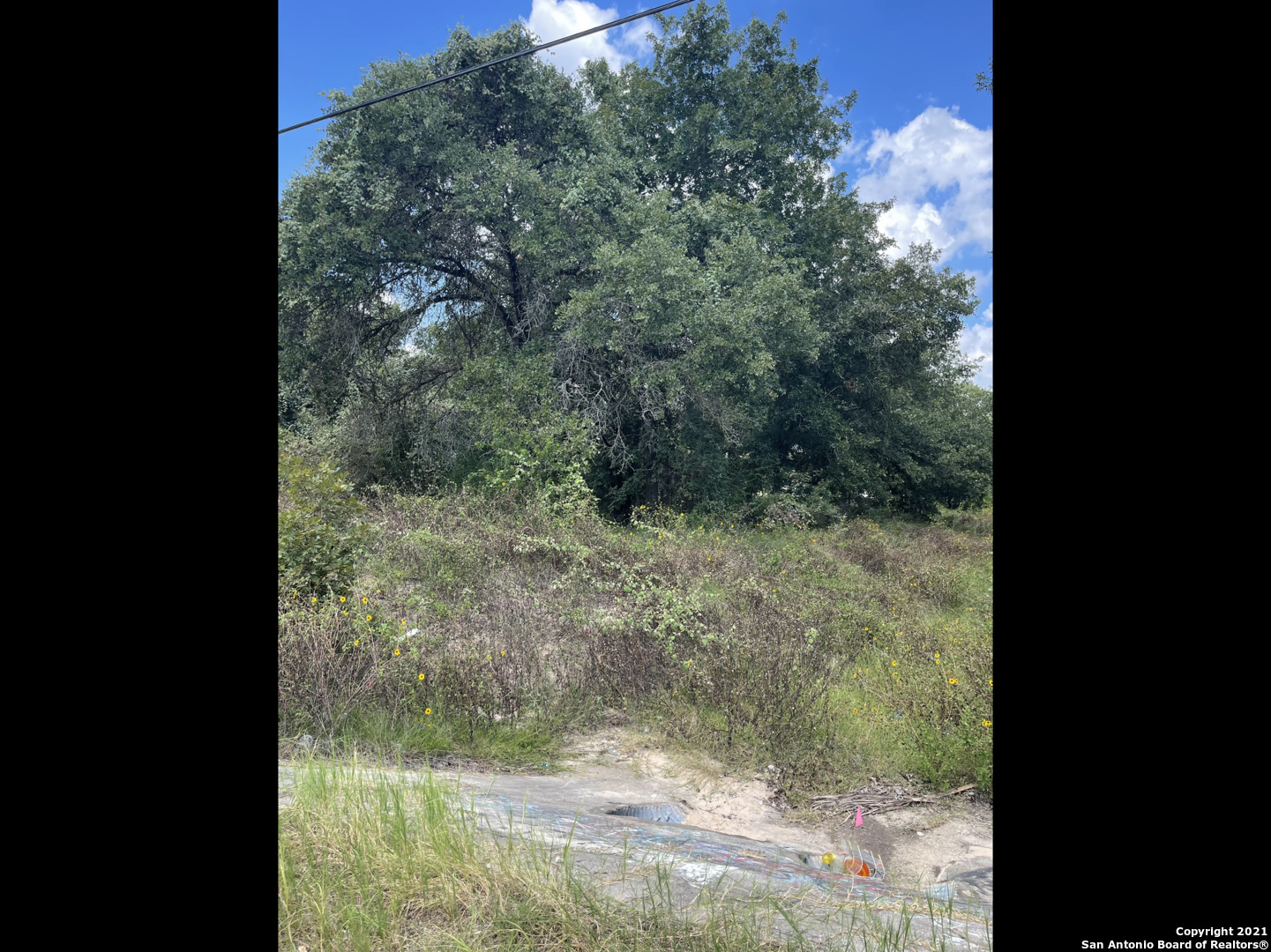 22814 Skila Drive Elmendorf TX 78112