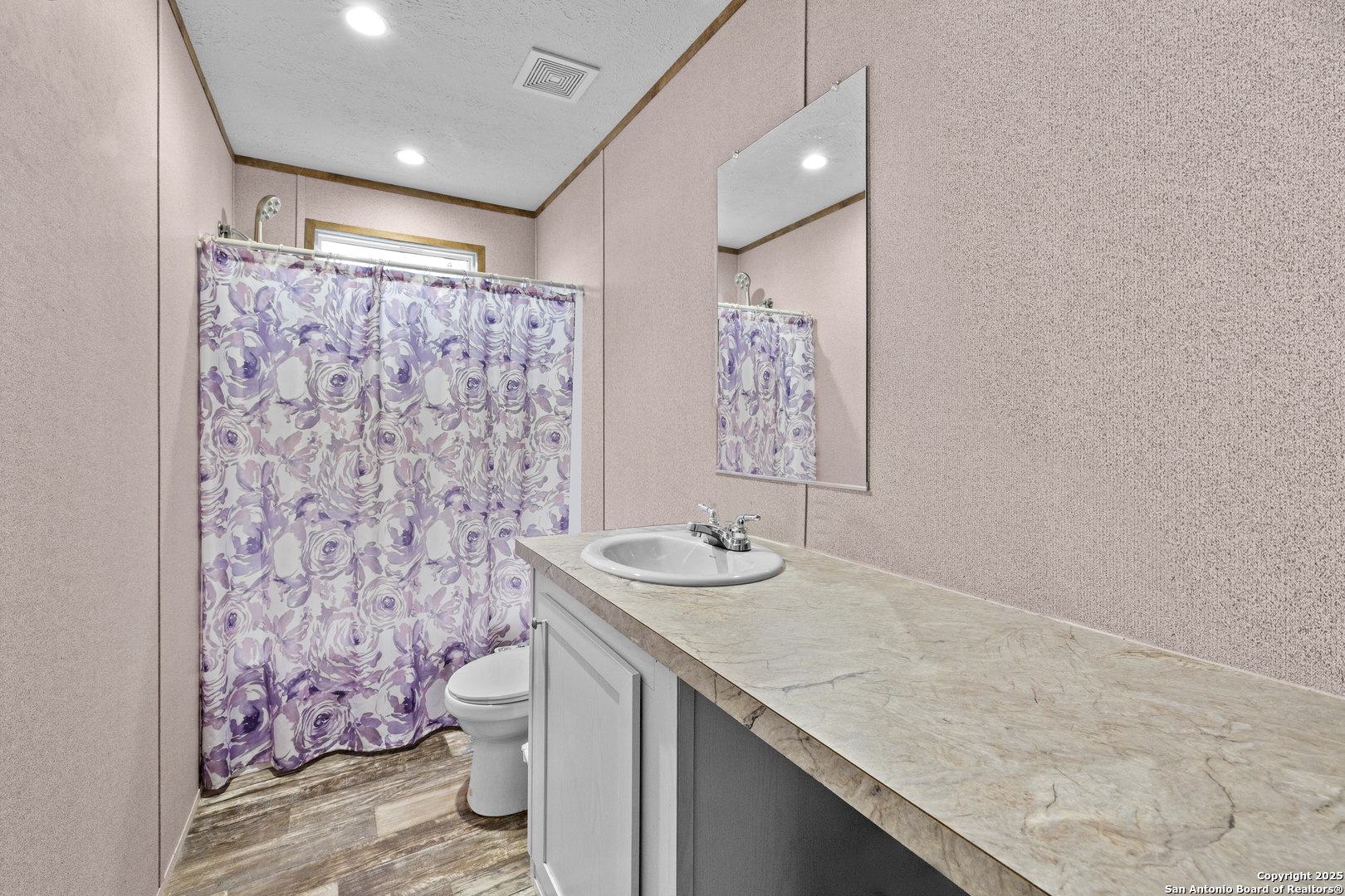 24720 Brownleaf Drive San Antonio TX 78264