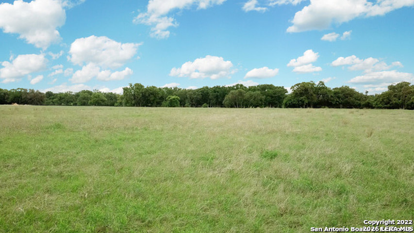 741 Annabelle Bulverde TX 78163