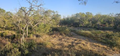 109 Sylas Hayes Pleasanton TX 78064