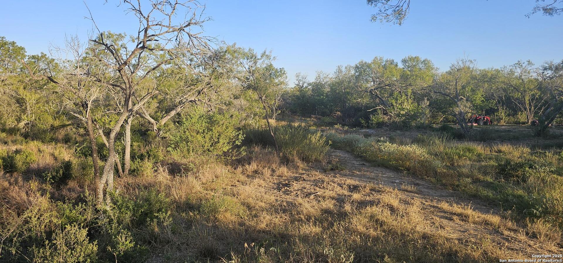 109 Sylas Hayes Pleasanton TX 78064