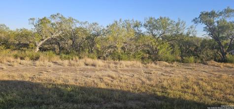 109 Sylas Hayes Pleasanton TX 78064