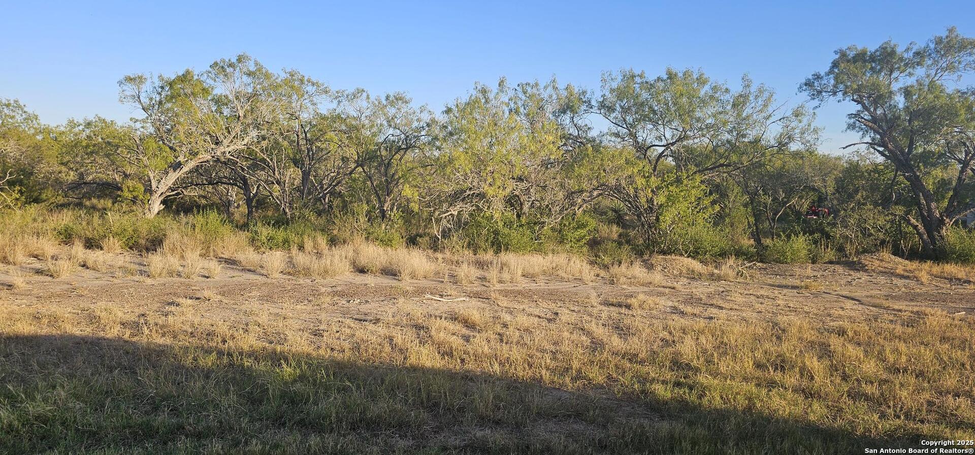 109 Sylas Hayes Pleasanton TX 78064