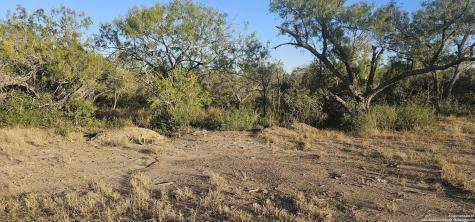 109 Sylas Hayes Pleasanton TX 78064
