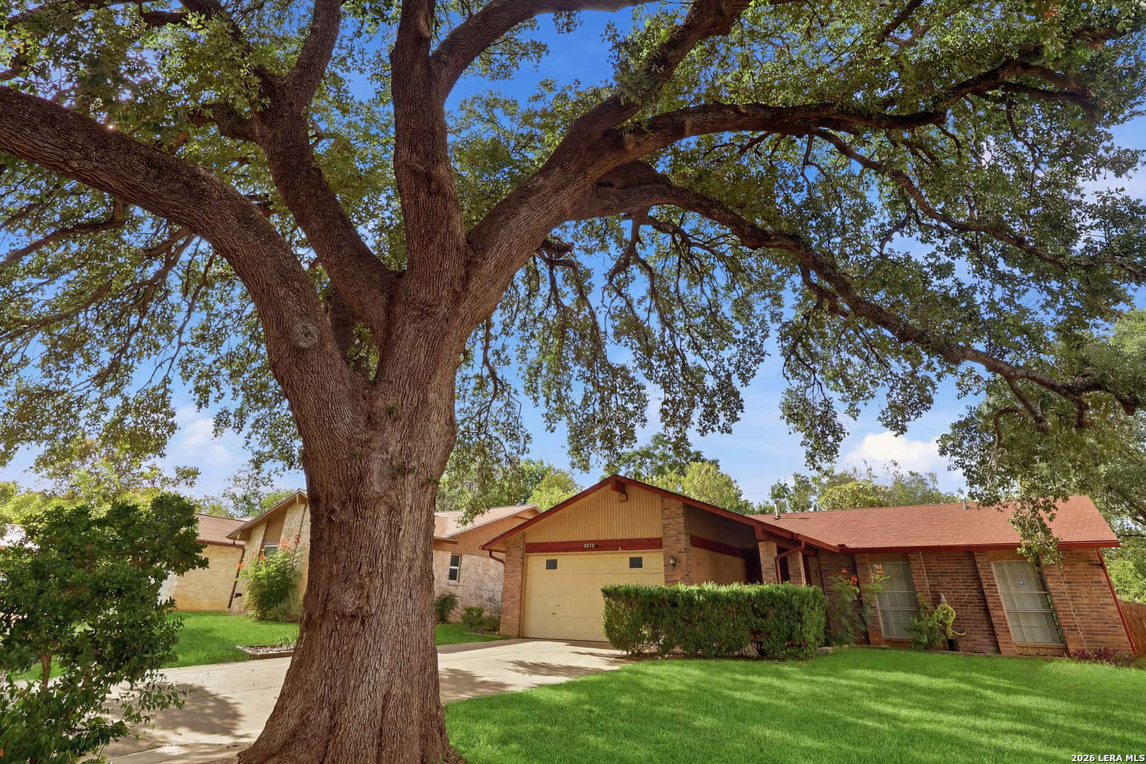 8838 Thatch Drive San Antonio TX 78240