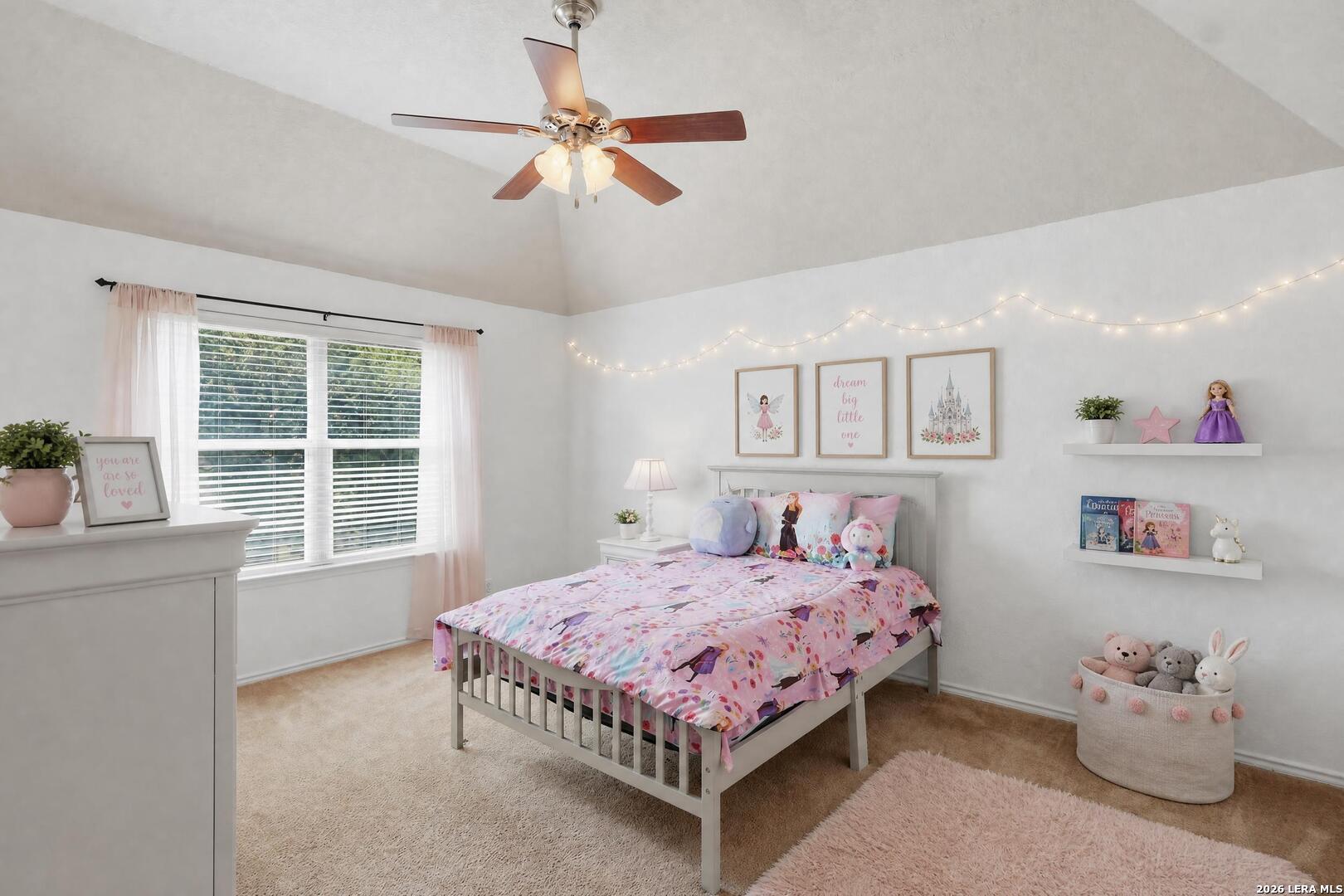 510 Senna Trail San Antonio TX 78256