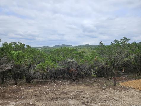 664 Luehlfing Drive Canyon Lake TX 78133