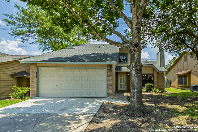 7027 Beech Trail Drive San Antonio TX 78244