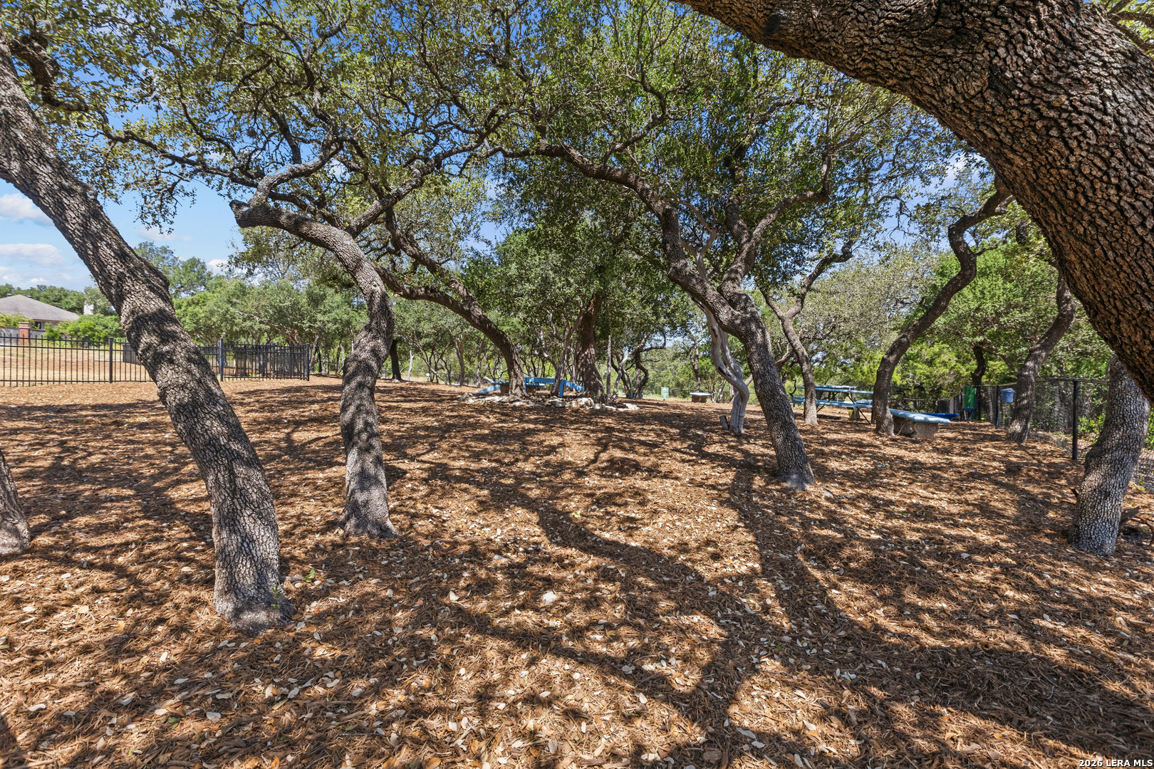 135 Bright Trail San Antonio TX 78253