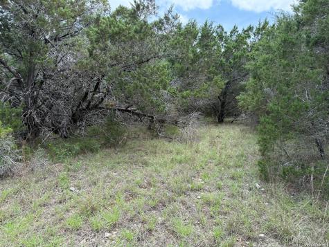 1264 High Hills Drive Canyon Lake TX 78133